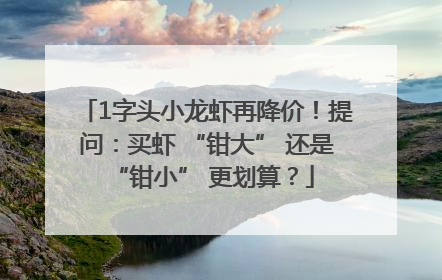 1字头小龙虾再降价！提问：买虾 “钳大” 还是 “钳小” 更划算？